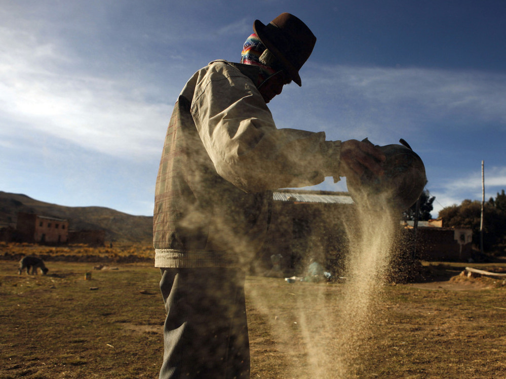 A man cleans quinoa grain in Pacoma, Bolivia. Quinoa's rising popularity in the U.S. has been a boon to some farmers in the semiarid highlands of Bolivia, but there are fears that the rising demand is pushing up prices for the grain, making it unaffordable for many Bolivians.