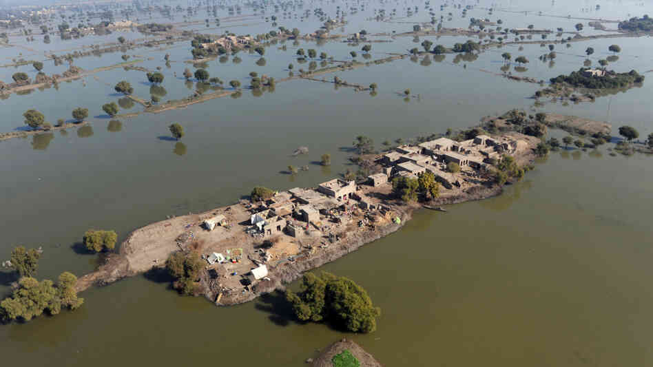 Though precipitation levels do vary region to region, when looked at globally, 2010 was also the wettest year on record. In Pakistan, makeshift camps popped up in areas ravaged by catastrophic flooding. Though precipitation levels do vary region to region, when looked at globally, 2010 was also the wettest year on record. In Pakistan, makeshift camps popped up in areas ravaged by catastrophic flooding.