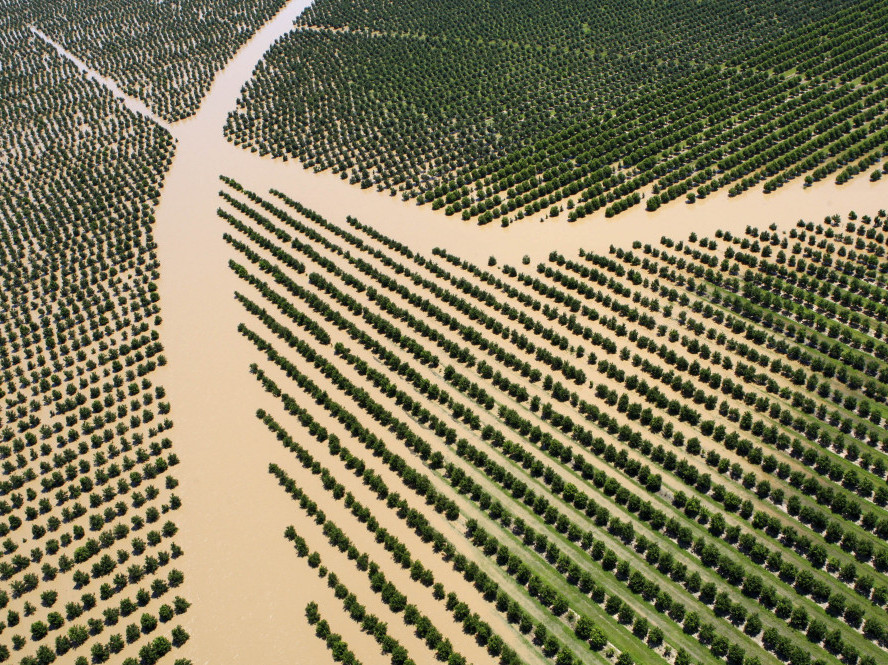 Crops are inundated by rising floodwaters west of Rockhampton, Australia.