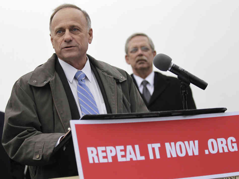 Rep. Steve King (R-IA) speaks during a news conference Tuesday on Capitol Hill after accepting delivery of signed petitions demanding the repeal of the health law.