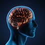 Even basic sensory maps in the brain can be remapped in a matter of months, says neurologist V.S. Ramachandran.