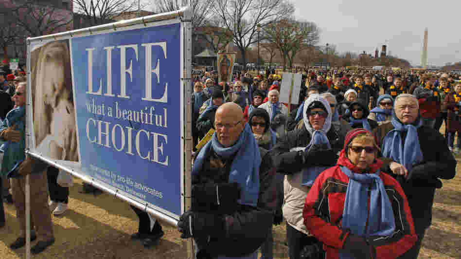 The scene on the National Mall earlier this afternoon.