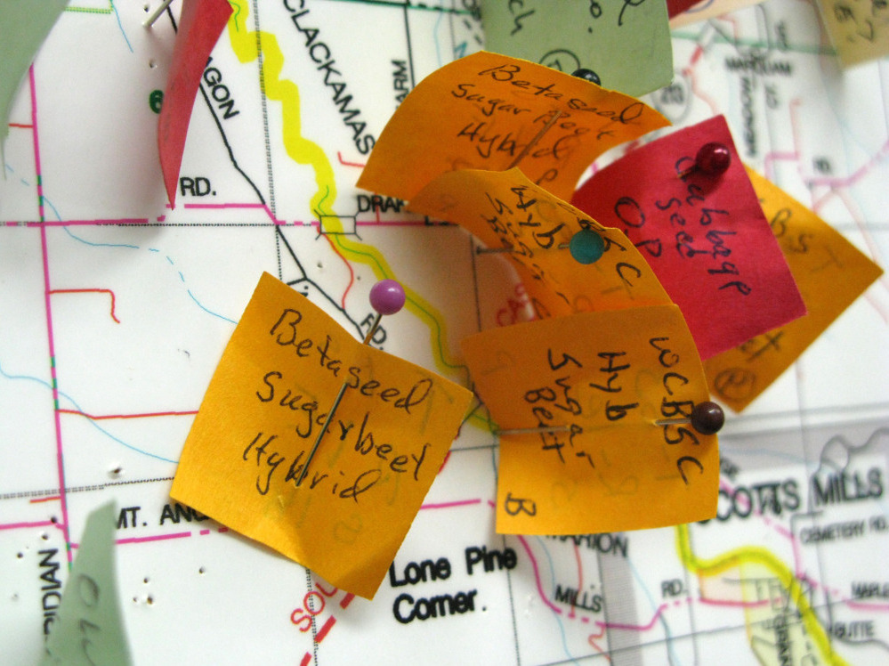 The Willamette Valley Specialty Seed Association uses a simple system to avoid cross-pollination: A map of the valley with pins in it shows where each type of crop is planted. It's first come, first served — if you "pin" a sugar beet field, nobody else is supposed to grow seed for Swiss chard within three miles.