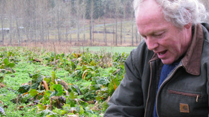 "This valley is not big enough to have genetically engineered crops and normal crops growing together without cross contamination happening," says Frank Morton, an organic farmer who grows Swiss chard for seed.
