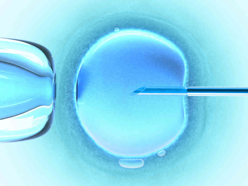 Now some IVF clinics are offering deals on fertility treatments.