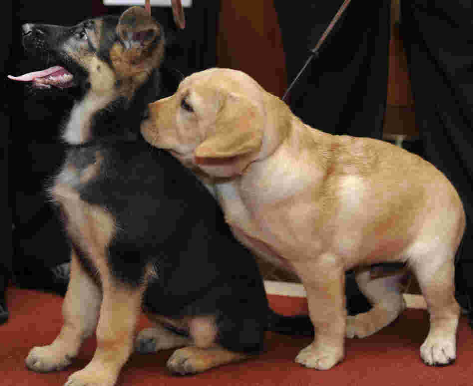 No, really, I'm first, you're second!