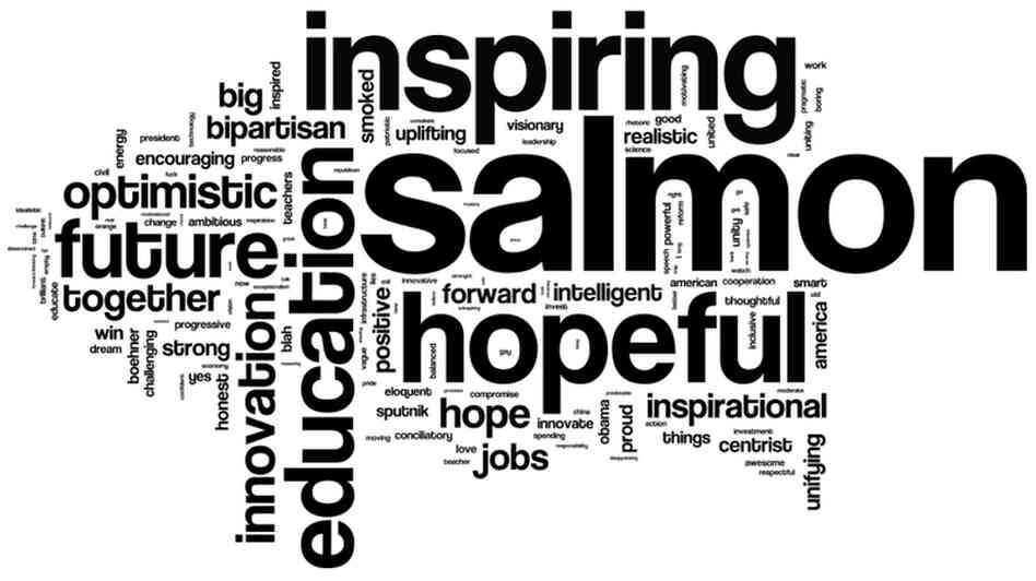 We asked our listeners to describe President Barack Obama's State of the Union address in three words. This is a word cloud of the more than 12,000 words we received.