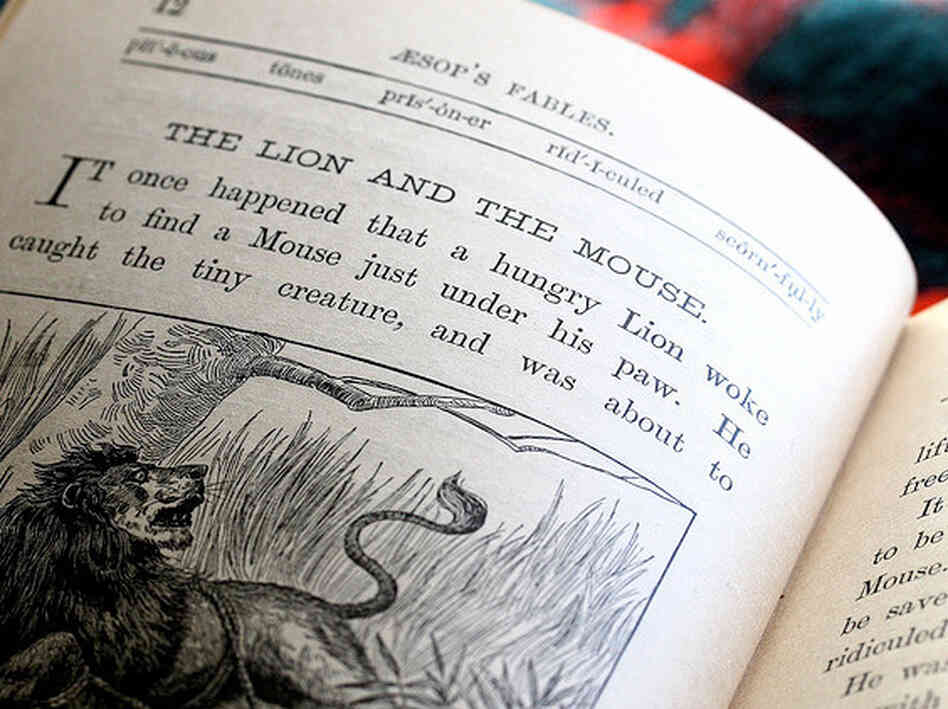 A children's book.