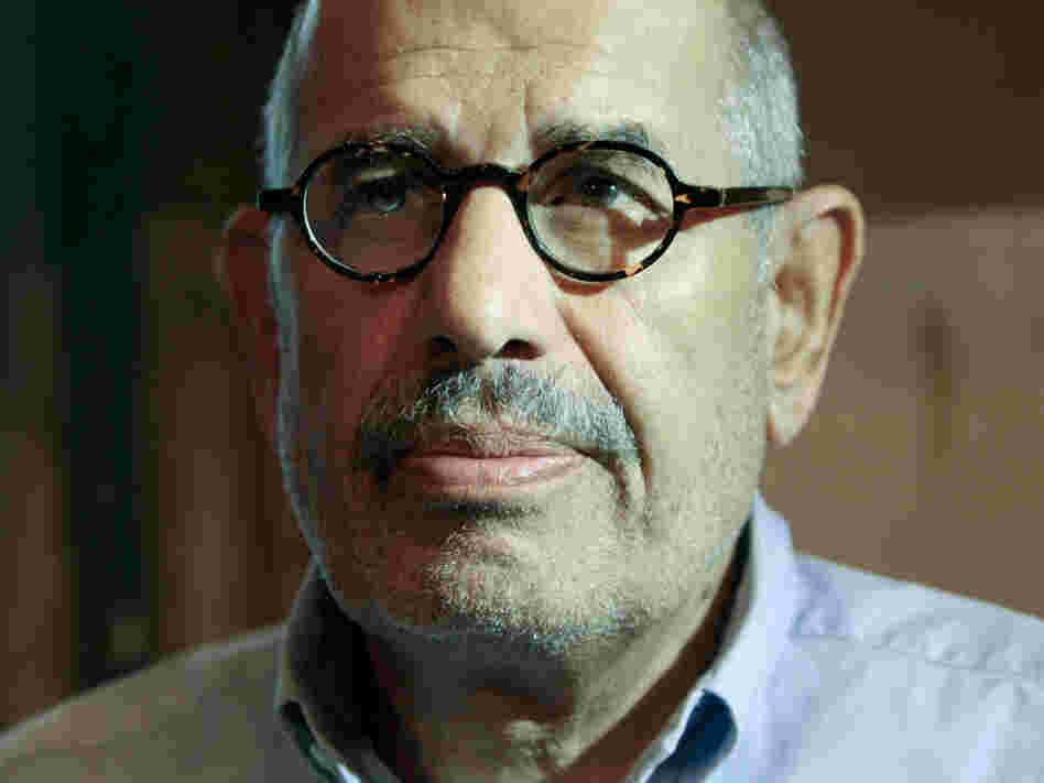 Mohammed ElBaradei, the Nobel Peace Prize winner and former chief of the IAEA, is seen here at a meeting marking the first year of his campaign to press for changes within Egyptian politics, in Cairo, Sept. 6, 2010. ElBaradei brought together a coalition of young activists and opposition groups to mark his first year in Egyptian politics. Mohammed ElBaradei, the Nobel Peace Prize winner and former chief of the IAEA, is seen here at a meeting marking the first year of his campaign to press for changes within Egyptian politics, in Cairo, Sept. 6, 2010. ElBaradei brought together a coalition of young activists and opposition groups to mark his first year in Egyptian politics.