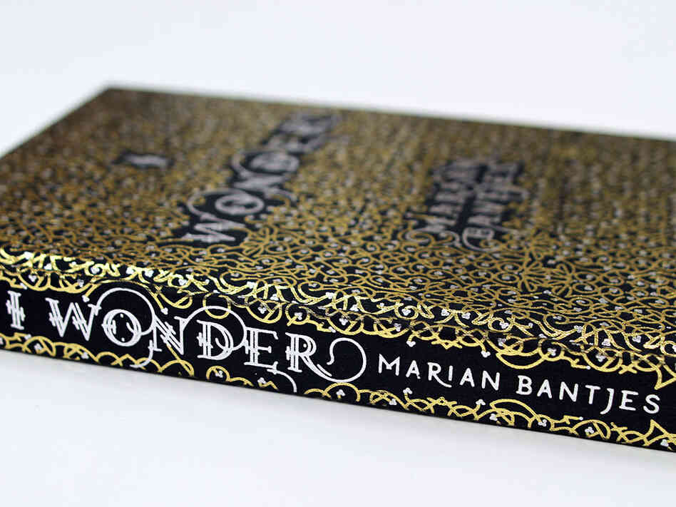 The cover of I Wonder, Marian Bantjes, The Monacelli Press, 2010