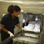 A morphology technician at The New Mexico Office of the Medical Investigator stores one of the bodies that is autopsied there. The office was created by the state legislature in 1972 replacing the county coroner system. A morphology technician at The New Mexico Office of the Medical Investigator stores one of the bodies that is autopsied there. The office was created by the state legislature in 1972 replacing the county coroner system.