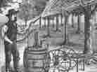 Spray Pump from the 1895 Montgomery Ward & Co. catalogue.