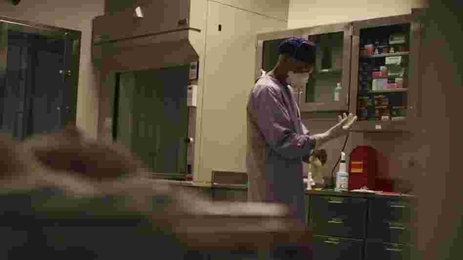 A forensic pathologist prepares for an autopsy at The New Mexico Office of the Medical Investigator.