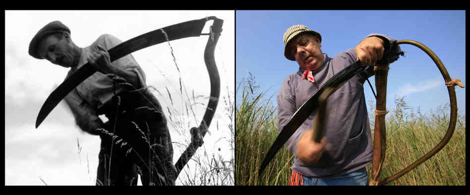 Scythe 1935/2006 