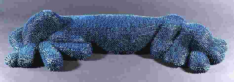 Blue Tick Hound