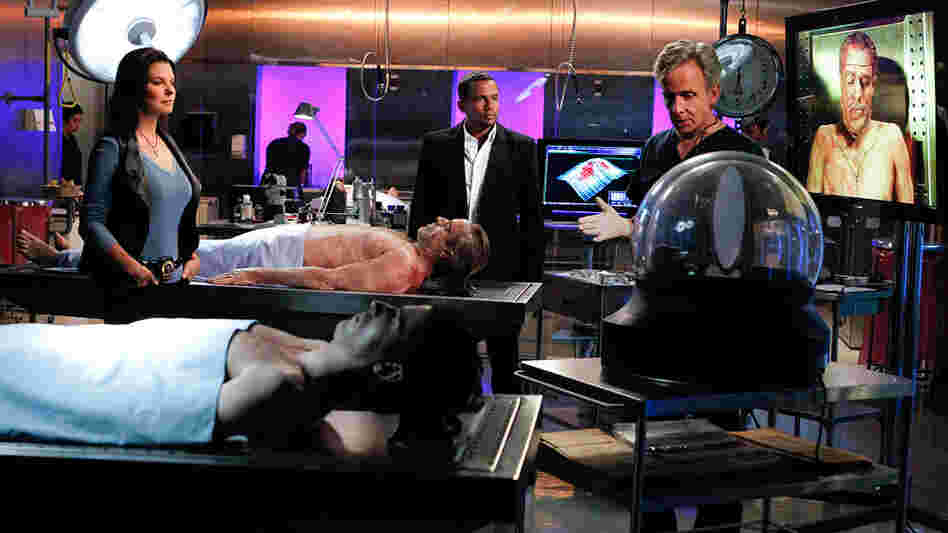 Television shows like CSI provide an unrealistic view of the technology available to death investigators. In this photo from a recent episode of CSI:NY, characters Det. Josephine "Jo" Danville (Sela Ward) confers with Dr. Sheldon Hawkes (Hill Harper) and Dr. Sid Hammerback (Robert Joy) in their lab. Television shows like CSI provide an unrealistic view of the technology available to death investigators. In this photo from a recent episode of CSI:NY, characters Det. Josephine "Jo" Danville (Sela Ward) confers with Dr. Sheldon Hawkes (Hill Harper) and Dr. Sid Hammerback (Robert Joy) in their lab.