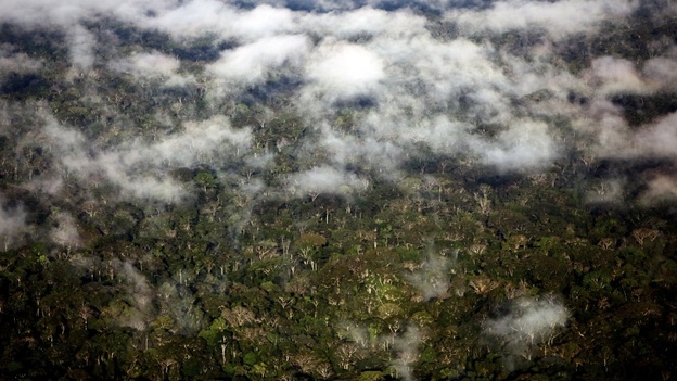 Major droughts in 2005 and 2010 cut into the Amazon's ability to absorb carbon dioxide from the atmosphere. Drought reduces carbon-absorbing tree growth, and opens the door to more forest fires, which release carbon into the air. Seen here, a Peruvian section of Amazonia.
