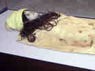 A mummy that's not really a mummy A mummy that's not really a mummy