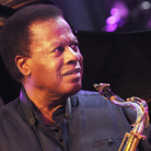 Wayne Shorter performs with his quartet at the 2008 Vitoria-Gasteiz Jazz Festival in Basque Country, Spain.