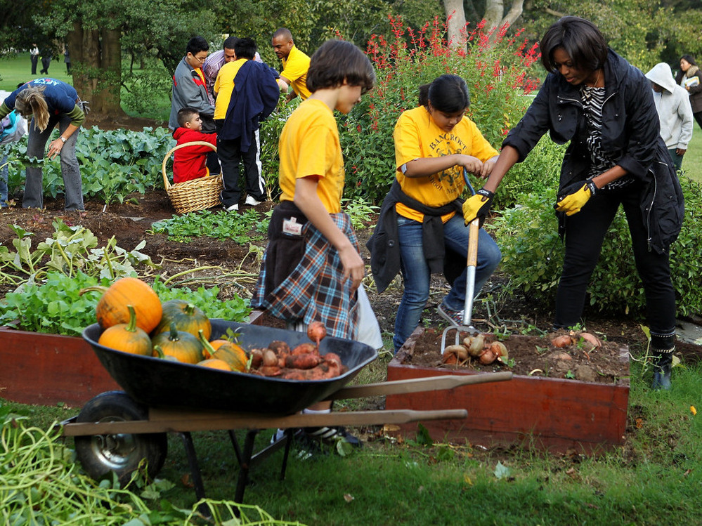 Michelle Obama harvests sweet potatoes with local fifth-graders from Bancroft Elementary as they participate in the White House Kitchen Garden Fall Harvest on Oct. 20.