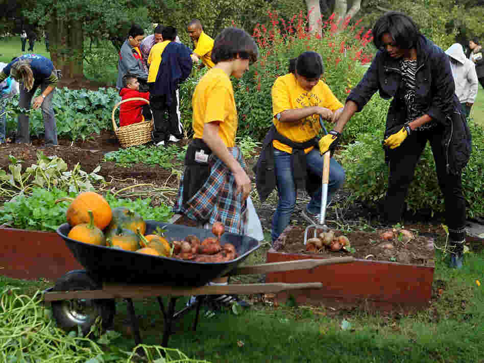 Michelle Obama harvests sweet potatoes with local fifth-graders from Bancroft Elementary as they participate in the White House Kitchen Garden Fall Harvest on Oct. 20.