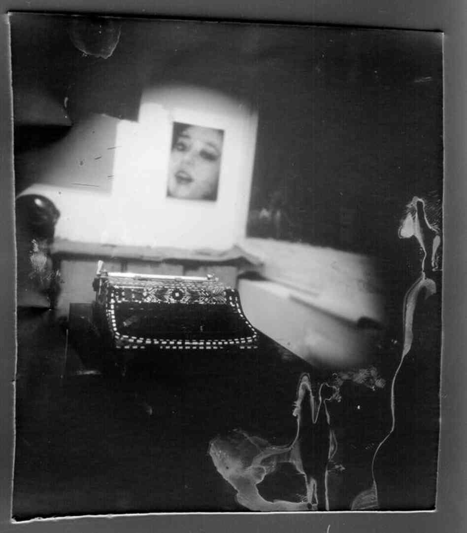 Another image made with Birk's box camera.