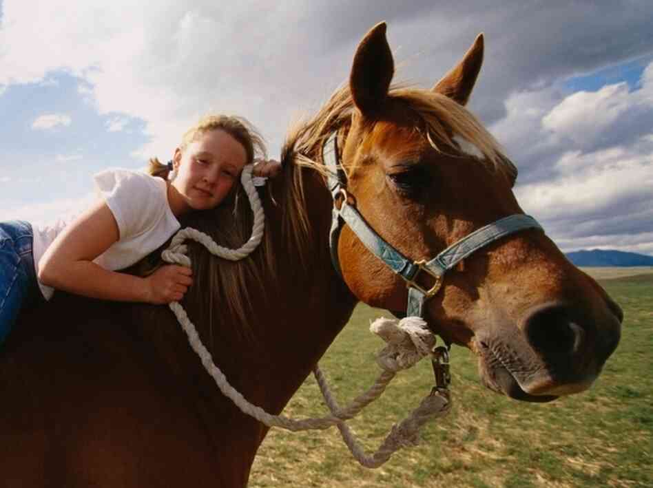 People have long speculated about why girls love horses, according to Peggy Orenstein, author of Cinderella Ate My Daughter: Dispatches from the Front Lines of the New Girlie-Girl Culture. She says that by identifying with these dynamic, strong animals, girls are expressing their own power.
