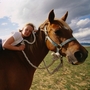 People have long speculated about why girls love horses, according to Peggy Orenstein, author of Cinderella Ate My Daughter: Dispatches from the Front Lines of the New Girlie-Girl Culture. She says that by identifying with these dynamic, strong animals, girls are expressing their own power.
