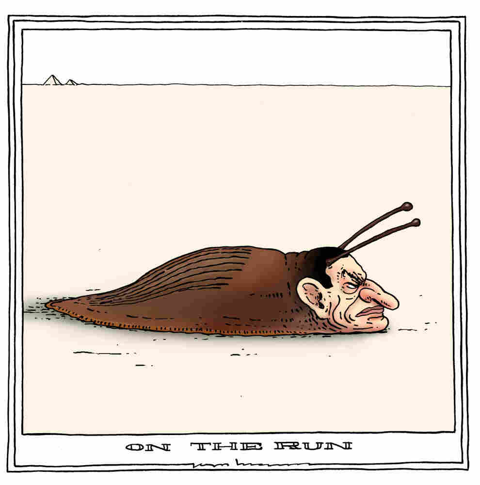 politicalcartoons.com politicalcartoons.com