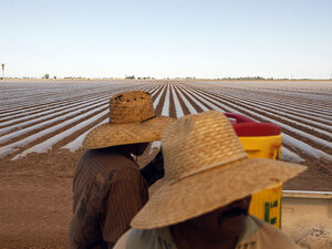 Workers prepare a field for planting in Imperial Valley, where farms have traditionally used flood-and-furrow techniques. Experts claim the process wastes vast quanties of precious water. Workers prepare a field for planting in Imperial Valley, where farms have traditionally used flood-and-furrow techniques. Experts claim the process wastes vast quanties of precious water.