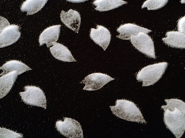 A detailed look at Motoi Yamamoto's "Cherry Blossom" installation at the Mikiko Sato Gallery in Hamburg, July 2009.