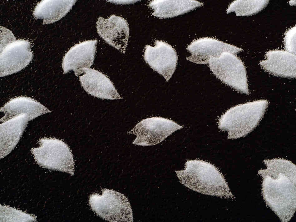 A detailed look at Motoi Yamamoto's "Cherry Blossom" installation at the Mikiko Sato Gallery in Hamburg, July 2009.