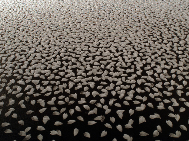 Motoi Yamamoto's "Cherry Blossom" installation at the Mikiko Sato Gallery in Hamburg, Germany, July 2009.