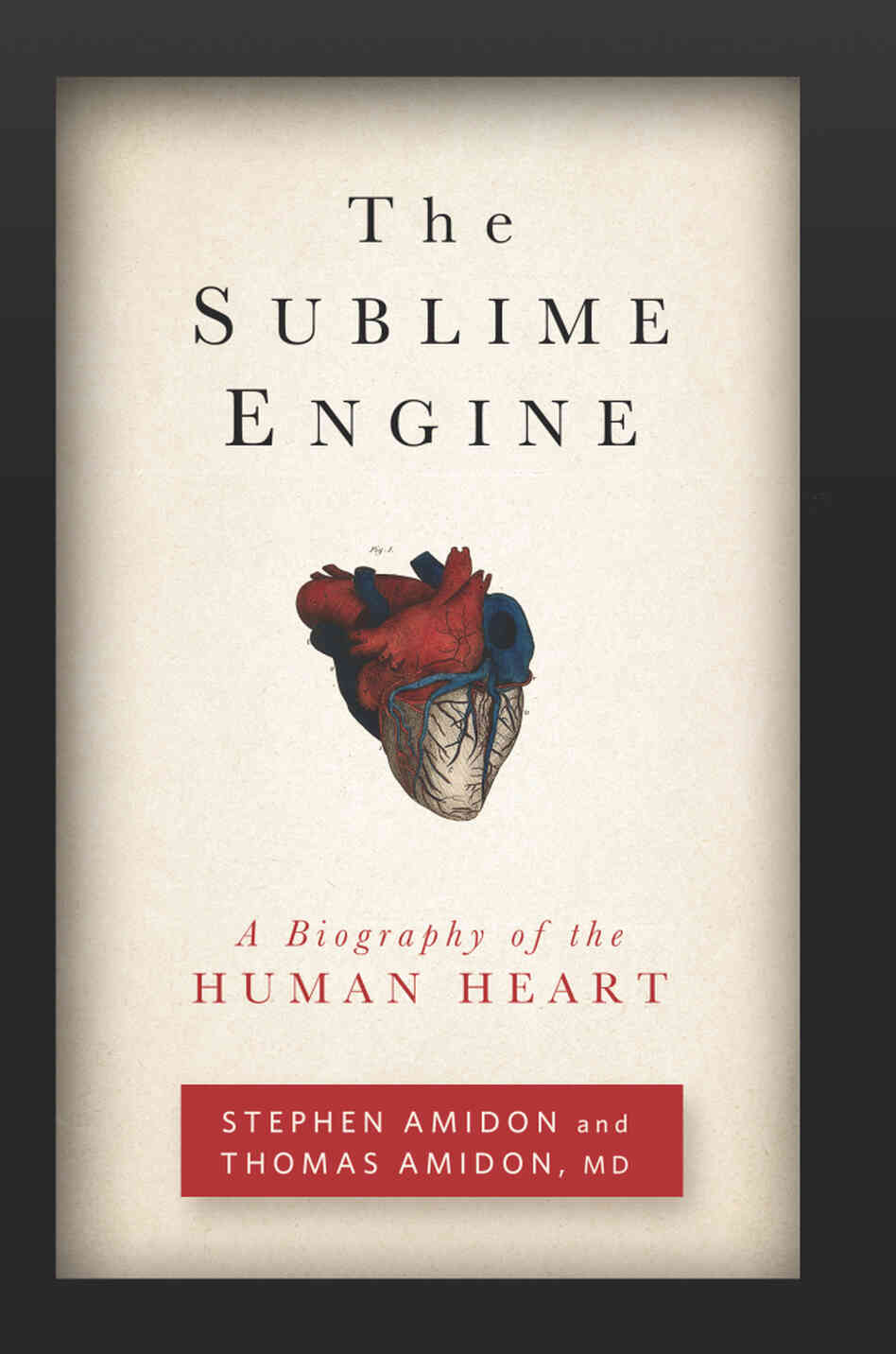 Cover: The Sublime Engine Cover: The Sublime Engine