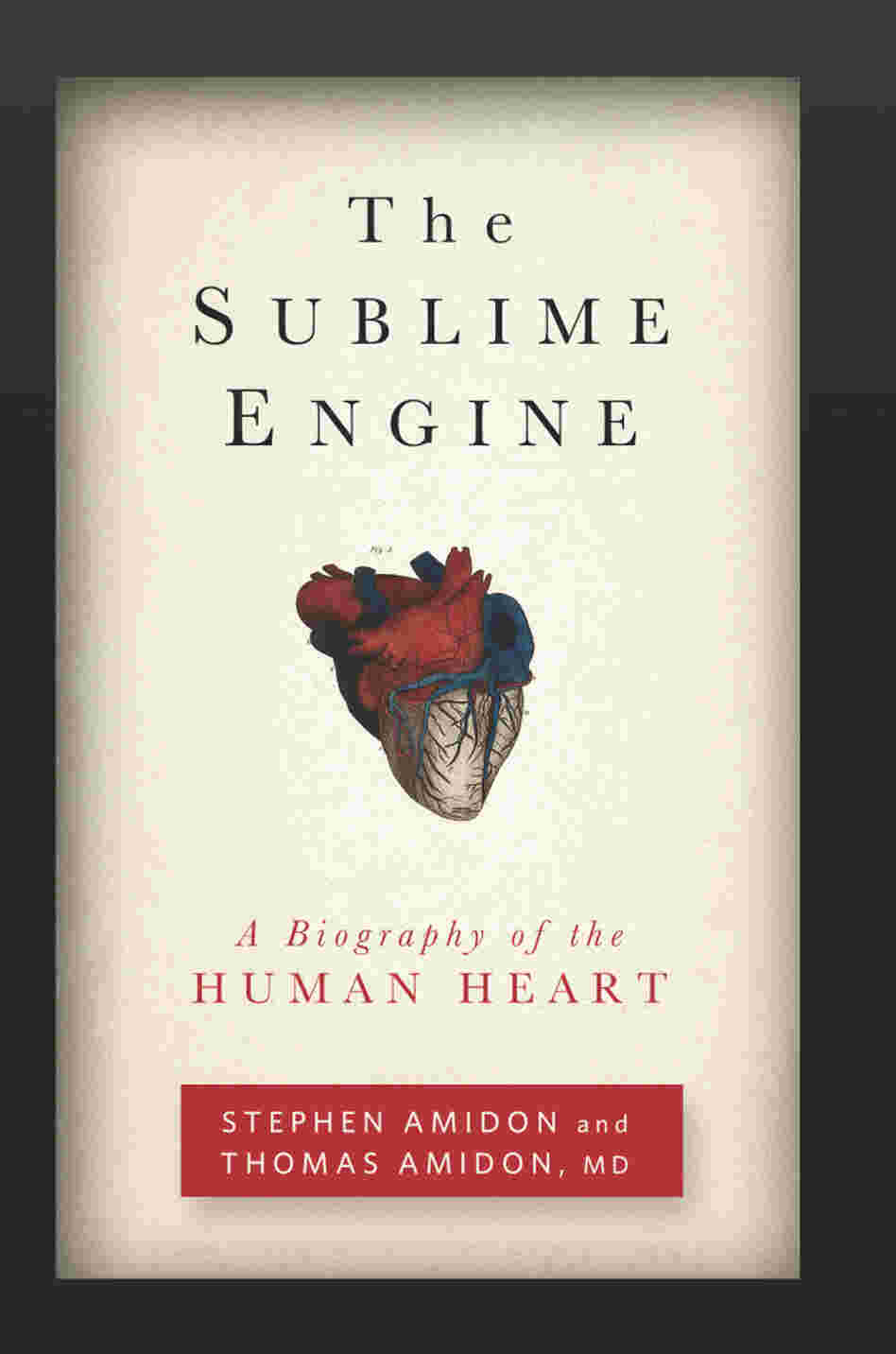 Cover: The Sublime Engine Cover: The Sublime Engine