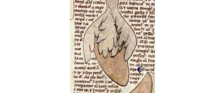 English heart drawing, c. 1292 English heart drawing, c. 1292