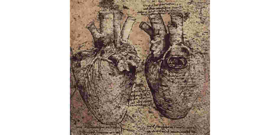 Da Vinci's heart drawings, c. 1500 Da Vinci's heart drawings, c. 1500