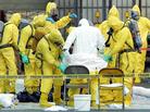 Members of a hazardous materials response team help to remove a hazardous materials suit from an investigator who had emerged from the U.S. Post Office in West Trenton, N.J., on Oct. 25, 2001. The post office was closed after two letters containing anthrax were traced back to this facility. Members of a hazardous materials response team help to remove a hazardous materials suit from an investigator who had emerged from the U.S. Post Office in West Trenton, N.J., on Oct. 25, 2001. The post office was closed after two letters containing anthrax were traced back to this facility.