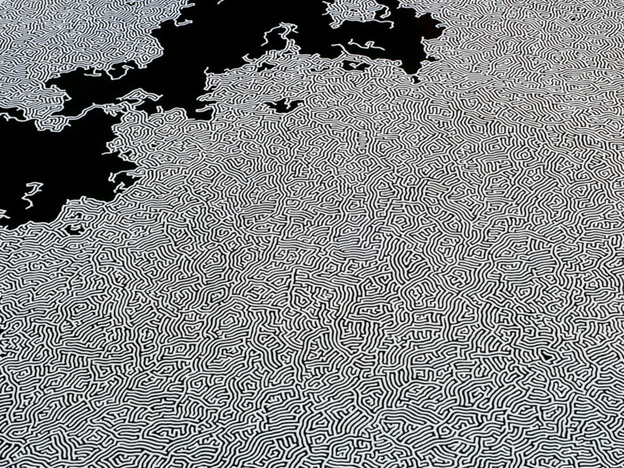 A closer look at Motoi Yamamoto's salt labyrinth, part of the "Forces of Nature" exhibit  in Charleston, S.C.