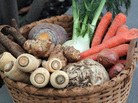A basket holds an assortment of root vegetables, along with fennel and onions A basket holds an assortment of root vegetables, along with fennel and onions