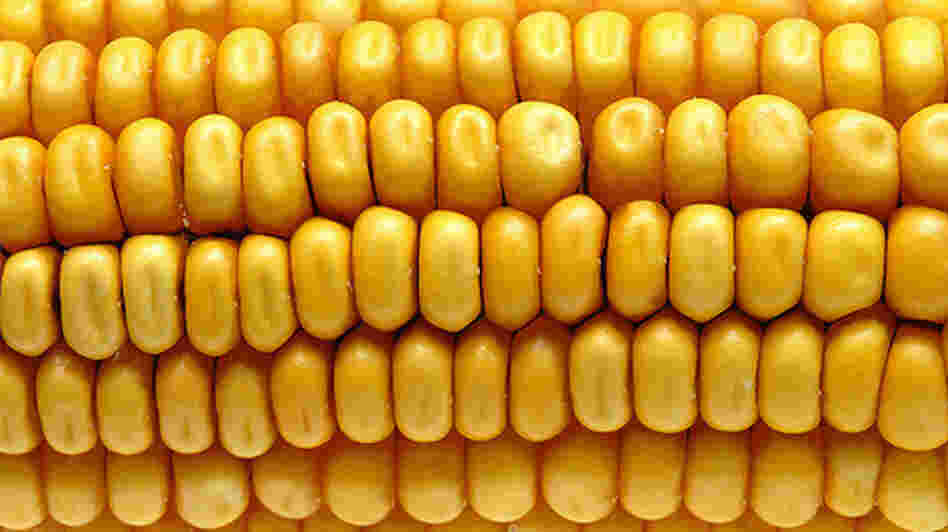 Corn
