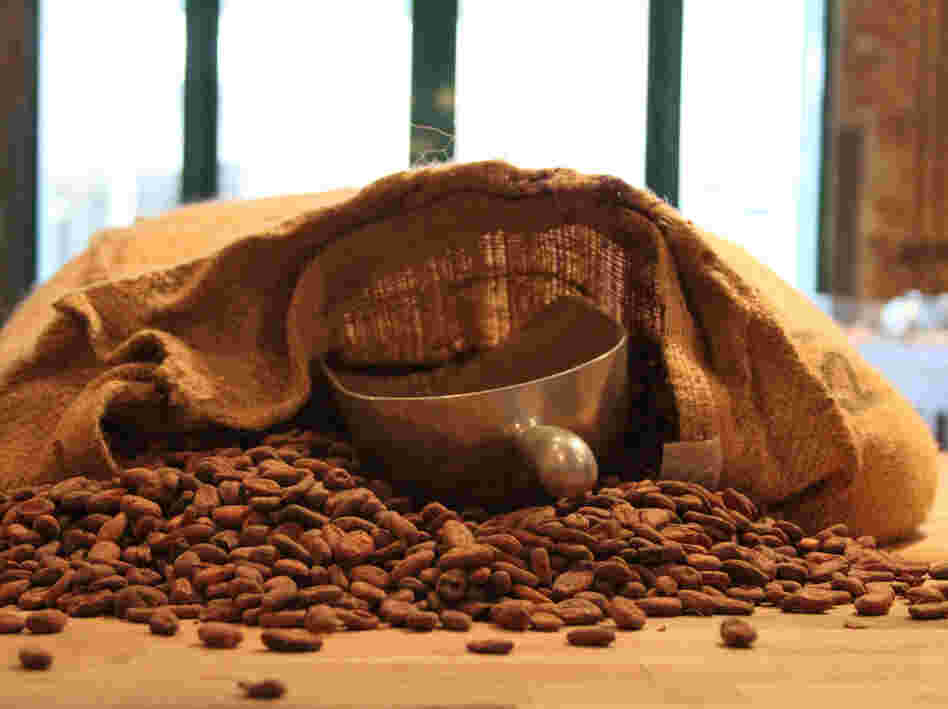 Cocoa beans at the Mast Brothers Chocolate Factory in Brooklyn, N.Y. Their beans come from sustainable farms in Madagascar, the Dominican Republican and South America. They cost two or three times as much as typical cocoa beans from Ivory Coast.