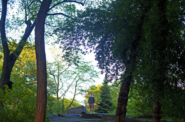 My first weekend in this new world.  I could not resist searching out something that would remind me of my home.  It was in between the rock and trees of New York's Central Park, I searched for security and discovered adventure.