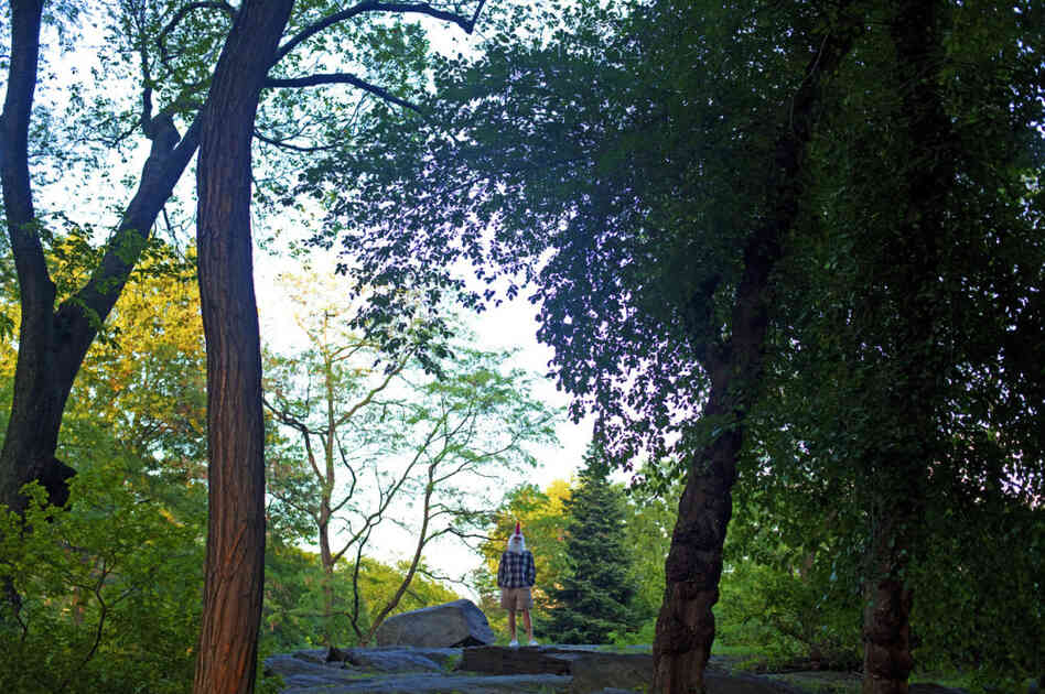 My first weekend in this new world.  I could not resist searching out something that would remind me of my home.  It was in between the rock and trees of New York's Central Park, I searched for security and discovered adventure.