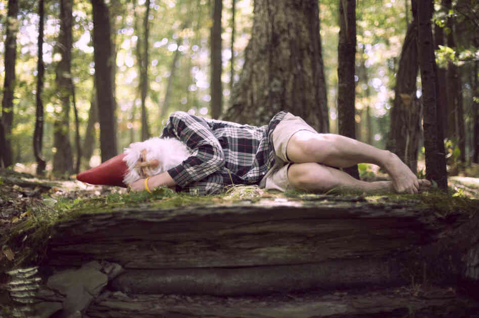 Gnome Gnap