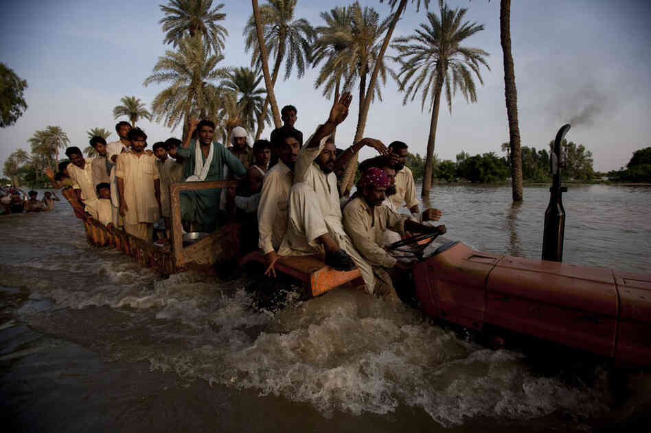 Villagers displaced from their homes by flooding travel through flood waters on the back of a tractor on August 11, 2010 on the outskirts of Muzaffargarh in Punjab, Pakistan.