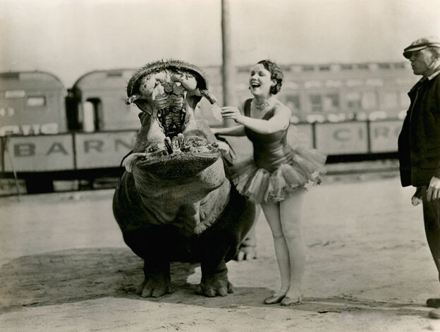 Photo and caption originally published in Oct. 1931: "Mr. Hippo Holds The Broad-Grin Record. Though his opened mouth looks formidable, he is one of the best-natured animals in the menagerie. He is no meat eater, but devours enormous quantities of aquatic plants and grass."
