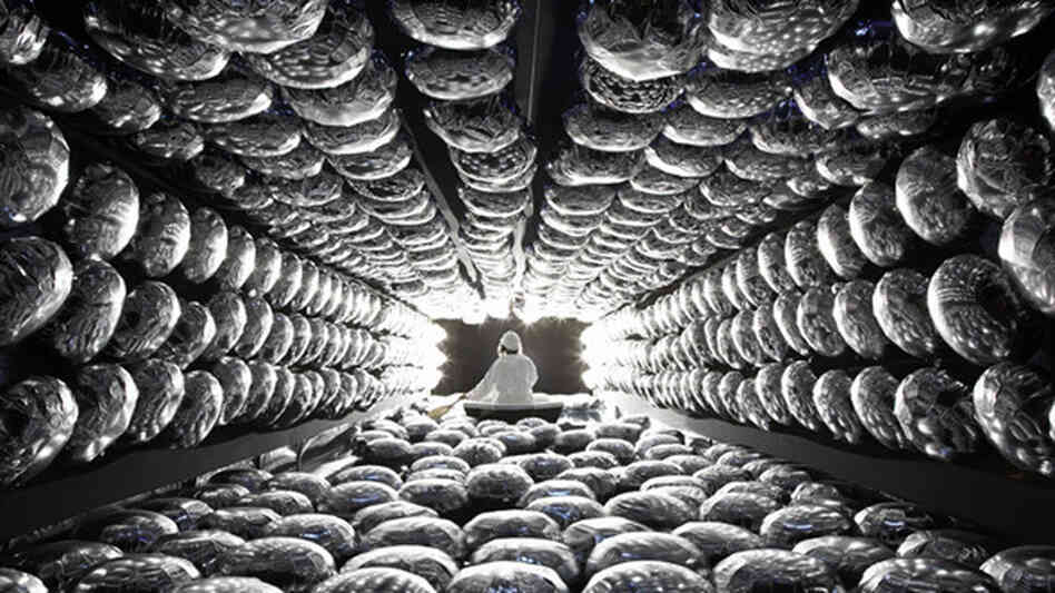 A 2009 London art installation, Super K Sonic Booum by Nelly Ben Hayoun, replicated a neutrino detector, allowing the public to ride in a boat accompanied by the physicists working on the Super-Kamiokande in Japan.