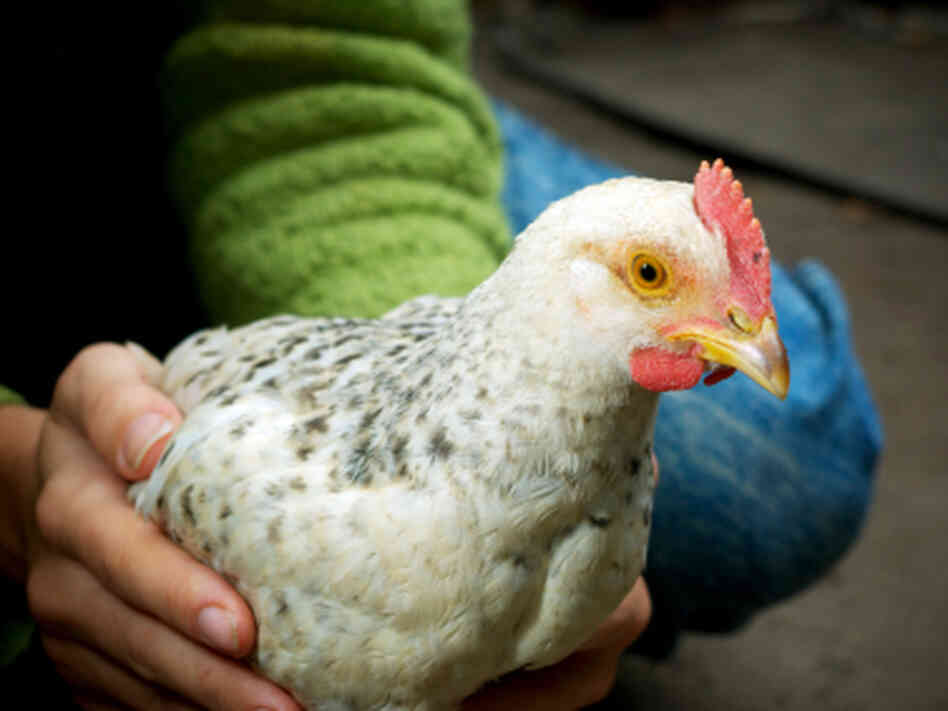 iStockphoto.com