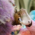 Second Chief "Lil Bo" of the Wild Magnolias. Second Chief "Lil Bo" of the Wild Magnolias.